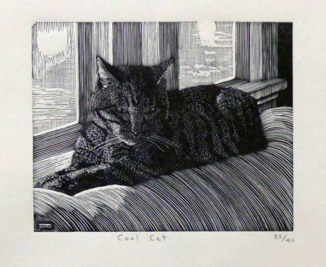 Alexander Gray, Cool Cat